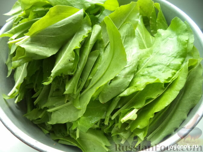 борщ с зеленью. укроп щавель петрушка кинза базилик. кислятка и щавель. укроп петрушка щавель. нарезка зелени борщ.