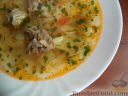 Суп из свинины с вермишелью: Суп из свинины с вермишелью готов. Разлить суп вермишелевый по тарелкам, посыпать зеленью петрушки.