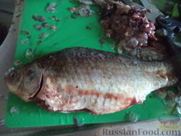 Простой рыбный суп (рыбацкая уха): Как приготовить рыбацкий суп (уху):    У рыбы удалить чешую, внутренности и жабры.
