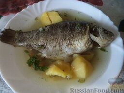 Простой рыбный суп (рыбацкая уха): Приятного аппетита!