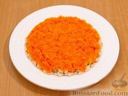 Салат Подсолнух: На филе выложить морковь, смазать майонезом.