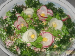 Салат с кукурузой и редисом: Украсим салат  с кукурузой укропом и редисом.