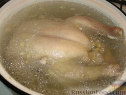 Чихиртма из курицы: Курицу зальем водой и поставим вариться.