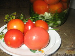 Малосольные помидоры: Готовые малосольные помидоры. Приятного аппетита!