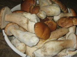 Маринованные белые грибы: Потом грибы тщательно очистим от земли, где нужно – срежем. Протрем влажной тряпочкой. Так лучше удаляются разные хвоинки-листики. При чистке грибы проходят первую сортировку. Для маринования я отбираю грибы без единой червоточины со шляпкой не больше 5-6 см в диаметре. Остальные грибы пойдут на суп, будут жариться, морозиться, сушиться.  Отобранные грибы моем под струей холодной воды каждый в отдельности.
