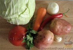 Щи из свежей капусты: Сварить мясной бульон. Достать мясо из бульона, удалить кости, нарезать на куски.  Лук мелко нарезать, пассеровать на растительном масле.  Морковь натереть, капусту тонко нашинковать.    Если ребенок морковь и лук вылавливает из тарелки и не ест, сделайте (или купите готовую) сушеную смесь из лука, моркови и перед добавление в суп размалывайте ее в мельничке или блендере. Дети чаще всего не любят не вкус этих продуктов, а их вареную консистенцию. Можно добавить в суп свежеприготовленное пюре из моркови (все-таки это очень полезный продукт, но не очень любимый детьми).    Помидор ошпарить, снять шкурку, нарезать ломтиками. Чеснок измельчить, перчик нарезать тоненькими колечками. Картофель очистить, нарезать кубиками.
