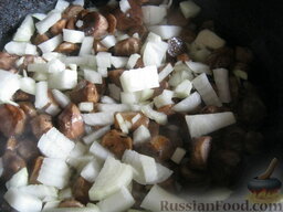 Салат «Руссо»: Почистить лук. Помыть лук и грибы. Нарезать лук и шампиньоны. Разогреть сковороду. Налить в сковороду 2 ст. ложки растительного масла.