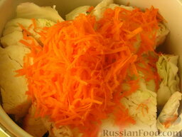 Пилюска: Морковь измельчить на крупной терке и добавить в кастрюлю поверх капусты.