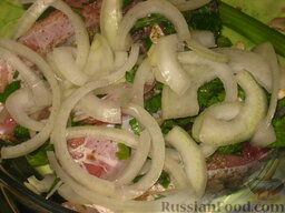 Толстолобик, запеченный с овощами: В жаропрочную форму выложить рыбу в один ряд. Репчатый лук очистить, нарезать кольцами. Покрыть рыбу луком.