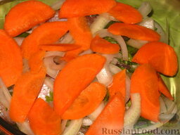 Толстолобик, запеченный с овощами: Морковь очистить, помыть, нарезать полукольцами. Выложить поверх лука, присолить.