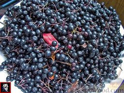 Вино из черноплодной рябины: Очень давно не делал вина плодово-ягодного, пост Марата - dunduk-culinar.ru/dessert/dessert-05.shtml - напомнил.  Делаю по его рецепту с некоторыми техническими нововведениями.