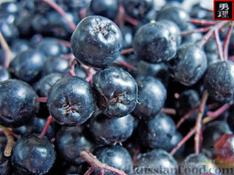 Вино из черноплодной рябины: Ягоды, налитые тёмно-красным соком.