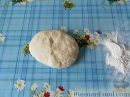 Чебуреки: Тесто для чебуреков должно получиться мягким, эластичным и упругим.