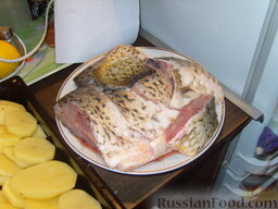 Карп, запечённый с картошкой в духовке: Рыбу почищенную и нарезанную сбрызгиваем лимоном и солим.