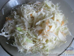 Капустный салат с чесноком: Капусту белокочанную очистить от верхних листиков. Морковь почистить, помыть и натереть на крупной терке. Мелко нашинковать капусту, немного посолить, перетереть руками.