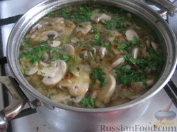 Простой  грибной суп из шампиньонов: В конце приготовления в суп из шампиньонов добавить мелко нарезанную зелень.