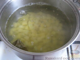 Грибная солянка с капустой: Вскипятить 2,5 л воды. Добавить картофель, варить 15 минут.