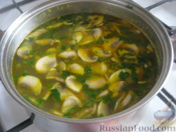 Суп картофельный со свежими грибами: В суп картофельный с грибами добавить зелень и снять с огня.