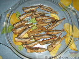 Рыба (сардины,килька) маринованная (In saor): Выкладываем рыбки в форму в 1 слой.