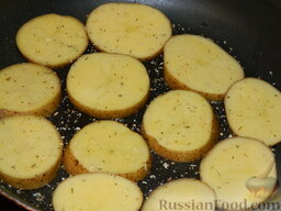 Картофельная запеканка  с помидорами "Серпантин": Противень смазать растительным маслом, выложить картофельные кружочки. Посолить по вкусу.