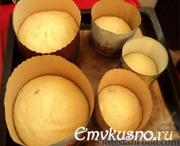 Пасха мамы (пасхальный кулич): Когда все формы для выпечки будут заполнены тестом, оставляем их для расстойки. Тесто должно отдохнуть и увеличиться в размере.