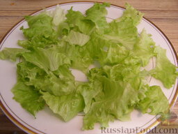 Салат с языком "Аппетитный": Начинаем выкладывать салат.    1 слой. Салатные листья рвем руками и раскладываем на тарелке.
