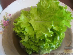 Овощной весенний салат к шашлыку: Салат зеленый тщательно помыть. Можно мелко нарезать, а можно порвать на кусочки.