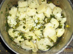 Салат "Зеленые лодочки": Как приготовить салат из соленой сельди с эндивием:    Картофель отварить, лучше в мундире. Но у меня оставался вареный картофель, так что использовала его.