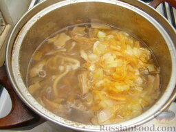 Суп из сушеных грибов с лапшой: Переложить в суп пассерованные овощи. Посолить. Варить суп из сушеных грибов с лапшой еще 5 минут.