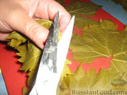 Долма (голубцы в виноградных листьях): Ну, а теперь займемся приготовлением долмы. У листа вырезаем твердую часть, место где лист крепится к черешку.