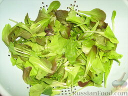 Салат из креветок и авокадо "Зеленый": Зеленый салат вымыть и подсушить. Я использовала три сорта салата: руккола, валериана и латук. Конечно, можете использовать любой салат по вашему предпочтению.