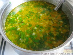 Суп из свинины с галушками: Добавить в суп зелень. Суп из свинины с галушками готов. Отдельно подать нарезанное кусочками свиное мясо.