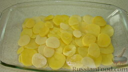 Запеканка с цветной капустой: Выложить картофель тонким слоем в форму, смазанную растительным маслом, посолить.