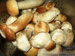 Голубцы с белыми грибами: Как приготовить голубцы с грибами:    Приготовить грибы для начинки. Очистить их от лесного мусора. Промыть  в проточной воде. Порезать грибы кубиками в 1см. Отваривать белые грибы не обязательно, их можно готовить сразу.  На сковороде разогреть  масло и потушить мелко порезанный   лук. Потом добавить грибы и тушить вместе с луком, помешивая, 10 минут. Посыпать мукой, добавить сметану и хорошо помешать. Посолить и поперчить. Потушить еще 5 минут. Посыпать зеленью.