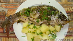 Рыба на пару: Подавать рыбу на пару можно с отварным картофелем или рисом.  Приятного аппетита!
