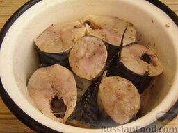 Скумбрия маринованная с луком: Сверху выложить рыбу. Полить приготовленной заправкой. Накрыть крышкой и оставить скумбрию маринованную с луком в холодильнике еще на 2-3 часа.