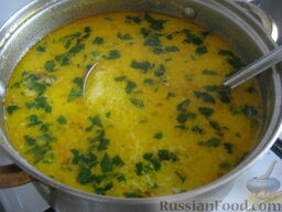Куриный суп с плавленым сыром: Помыть и нарезать зеленый лук и зелень. Куриный суп с сыром плавленным готов. Перед подачей в суп выложить зелень и зеленый лук.