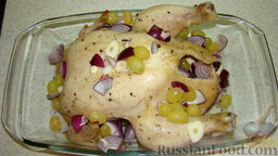 Курица с виноградом: Начинить курицу виноградом, луком и чесноком. Остальное выложить по бокам курочки.  Поставить курицу с виноградом в заранее разогретую до 190 градусов духовку на 40 минут.