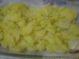 Запеканка из картофеля с рыбой: Включить духовку (разогреть до 180 градусов).  Форму смазать растительным маслом, выложить в форму половину картофеля, присолить.
