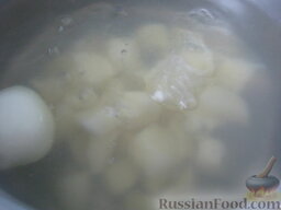 Экономная уха из головы семги: Вскипятить 1,5 л воды. В кипящую воду выложить картофель и целую луковицу. Варить до готовности картофеля, около 20 минут.