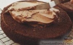Шоколадный торт с масляным кремом: 8. Остывшие коржи смазать шоколадным кремом, сформировать торт.  Шоколадный торт с масляным кремом готов.