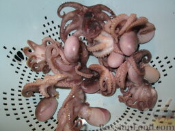 Овощной салат с осьминогом: Как приготовить салат с осьминогами:    В этот раз у меня осьминожки мелкие. Отварить их в соленой воде до готовности, 20-30 мин. Остудить в той же воде.