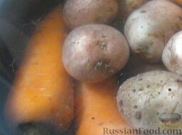 Салат из кальмаров с картофелем и морковью: Как приготовить салат из кальмаров:    Вымыть, сложить в кастрюлю морковь и картофель, залить холодной водой. Довести до кипения. Убавить огонь до минимального, варить овощи в мундире под крышкой до готовности (20-30 минут). Слить воду. Охладить.