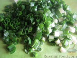 Салат из кальмаров с картофелем и морковью: Зеленый лук (или репчатый)  помыть и нарезать мелко.