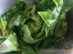 Американский салат со шпинатом и индейкой: Шпинат помыть, порвать листья на кусочки или нарезать соломкой.