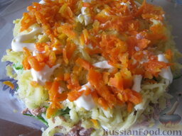 Слоеный салат с тунцом: 5 слой - морковь. Присолить, сделать сетку майонеза.