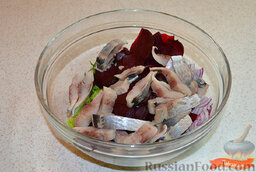 Салат с сельдью: Листья салата порвать в миску, добавить сельдь, свеклу, петрушку, лук, посолить по вкусу. Заправить салат с сельдью соусом и перемешать.