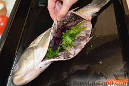 Запеченный амур с овощами: Противень смазать 1 ст. л. растительного масла, выложить рыбу, в брюшко положить пучок петрушки и веточку базилика.