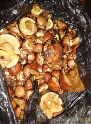 Жареная картошка с грибами маслятами и сметаной: Как приготовить жареную картошку с грибами:    Первым делом нам нужно пойти в лес и собрать на 