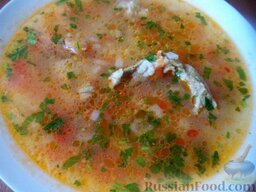Суп "Харчо" со свежими помидорами: Суп 